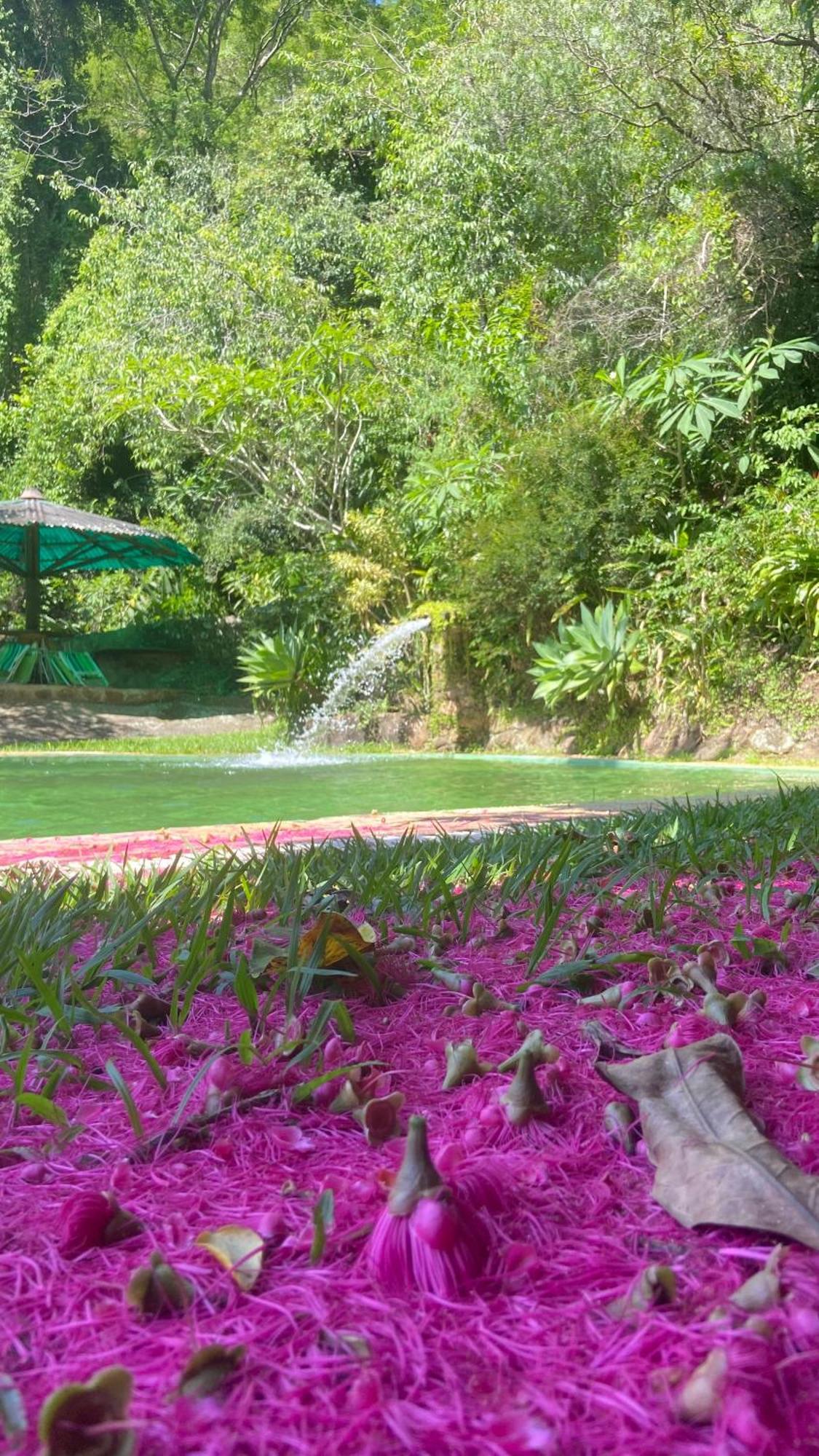 Chale Laranja - Sitio Caldeirao Villa Posse  Dış mekan fotoğraf